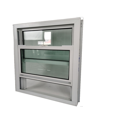 Steel Grid Glazing Glass Black Aluminum Frame Custom Single Hung Windows for Leisure Facilities