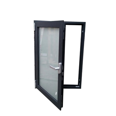 Modern Design Double Casement Windows with Stainless Steel Screen Netting