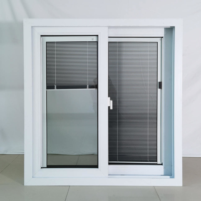 Large Size Double Glass Aluminum Sliding Windows with FiberGlass Screen Netting Material