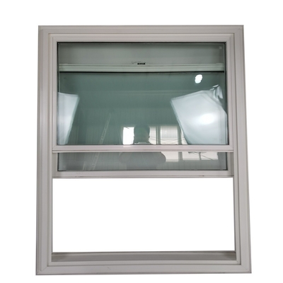 Double Glazed Plastic Frame Double Hung Cabin Window with Nylon Screen Netting Material