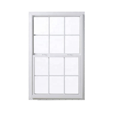 6063-T5 Profile European Style Net Screen Mosquito Double Glaze Vinyl Double Hung Windows